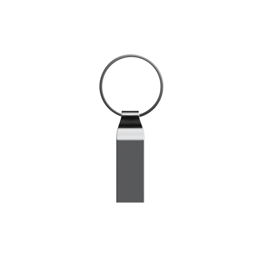 USB flash thumb drives U Disk data Ultra 3.0 USB-C Type-C anti-lost durable Portable storage High-speed Encrypted Plus for iPhone/Android Bulk wholesale keychain Eco-friendly OTG Bulk wholesale Custom logo FASTER2